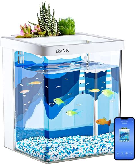 self sustaining aquarium|self cleaning aquarium filter.